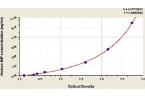 Typical standard curve (BIP Kit ELISA)