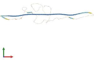 AlphaFold protein structure predicition of Human Recombinant TXLNB Protein, UniprotID Q8N3L3