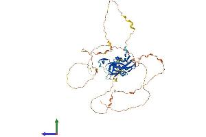 AlphaFold protein structure predicition of Human Recombinant TBX21 Protein, UniprotID Q9UL17