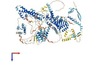 AlphaFold protein structure predicition of Mouse Recombinant Sin3a Protein, UniprotID Q60520