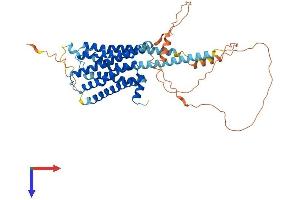AlphaFold protein structure predicition of Mouse Recombinant Hrh1 Protein, UniprotID P70174