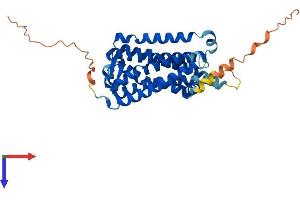 AlphaFold protein structure predicition of Human Recombinant MTNR1B Protein, UniprotID P49286