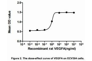 The dose-effect curve of VEGFA was shown in Figure 2. (VEGFA Protein (AA 27-190) (His tag))