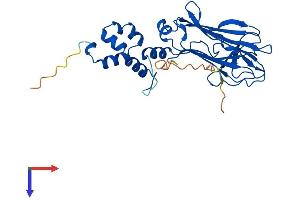 AlphaFold protein structure predicition of Human Recombinant FBXO6 Protein, UniprotID Q9NRD1