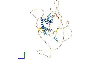 AlphaFold protein structure predicition of Mouse Recombinant Cenpt Protein, UniprotID Q3TJM4