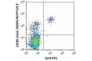 Flow Cytometry (FACS) image for anti-Chemokine (C-X-C Motif) Receptor 5 (CXCR5) antibody (PerCP-Cy5.5) (ABIN2660006)