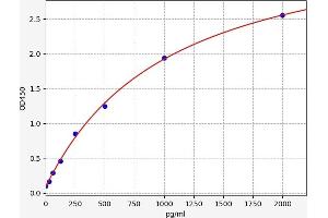 Typical standard curve