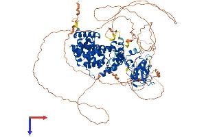 AlphaFold protein structure predicition of Human Recombinant SH2D3C Protein, UniprotID Q8N5H7