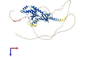 AlphaFold protein structure predicition of Mouse Recombinant Cacnb4 Protein, UniprotID Q8R0S4