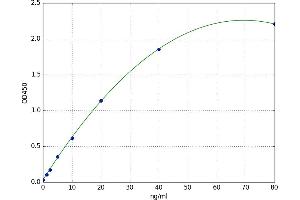 Ectonucleotide Pyrophosphatase / phosphodiesterase 2 (ENPP2) ELISA Kit