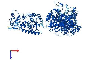 AlphaFold protein structure predicition of Human Recombinant MTHFD1 Protein, UniprotID P11586