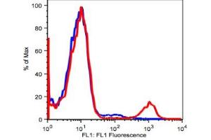 Image no. 2 for anti-CD19 Molecule (CD19) antibody (ABIN2704182)