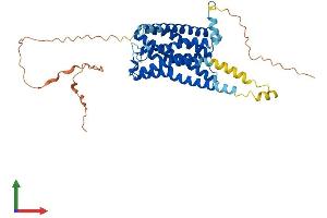 AlphaFold protein structure predicition of Mouse Recombinant Gpr63 Protein, UniprotID Q9EQQ3
