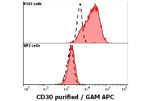 Anti-human CD30 purified antibody (clone MEM-268) specificity verification by flow cytometry Anti-human CD30 purified (MEM-268) antibody (concentration in sample 3 μg/mL, GAM APC, red-filled histogram) binds specifically to CD30 expressed on surface of K562 cells (upper panel), but not on surface of SP2 (lower panel).