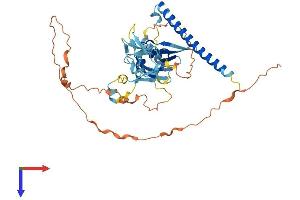 AlphaFold protein structure predicition of Human Recombinant RASSF5 Protein, UniprotID Q8WWW0