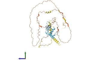 AlphaFold protein structure predicition of Human Recombinant SP5 Protein, UniprotID Q6BEB4