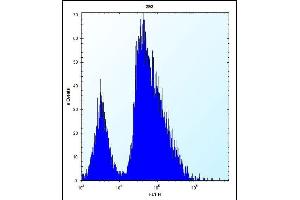 VSNL1 Antibody (Center) (ABIN656135 and ABIN2845474) flow cytometric analysis of 293 cells (right histogram) compared to a negative control cell (left histogram).