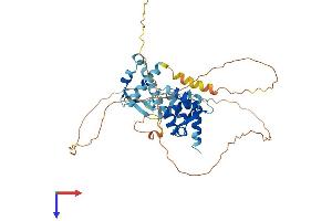 AlphaFold protein structure predicition of Human Recombinant MAGEB6 Protein, UniprotID Q8N7X4