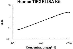 Human TIE2 PicoKine ELISA Kit standard curve (TEK Kit ELISA)