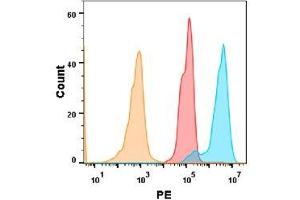 5T4 protein is highly expressed on the surface of Expi293 cell membrane.