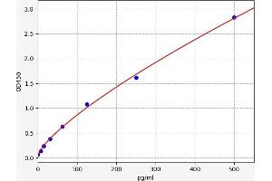 Fibrillin 1 (FBN1) ELISA Kit