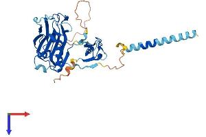 AlphaFold protein structure predicition of Human Recombinant CGRRF1 Protein, UniprotID Q99675
