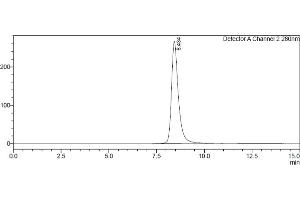 Assessment of protein purity for human Fc gamma RIIIb / CD16b (NA1) protein by SEC-HPLC.