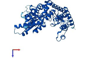 AlphaFold protein structure predicition of Mouse Recombinant Ddc Protein, UniprotID O88533
