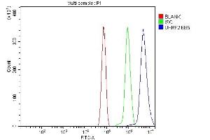 Flow Cytometry analysis of RH35 cells using anti-NIRF antibody (ABIN7603150).
