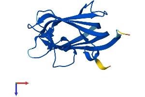 AlphaFold protein structure predicition of Human Recombinant IFT25 Protein, UniprotID Q9Y547