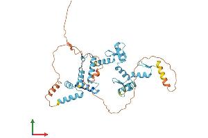 AlphaFold protein structure predicition of Human Recombinant ZSCAN9 Protein, UniprotID O15535