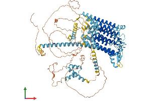 AlphaFold protein structure predicition of Mouse Recombinant Tmc5 Protein, UniprotID Q32NZ6
