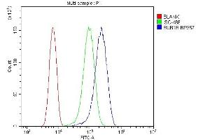 Flow Cytometry analysis of U87 cells using anti-Calpain 2 antibody (ABIN5518897). (BUB1B anticorps  (AA 26-448))