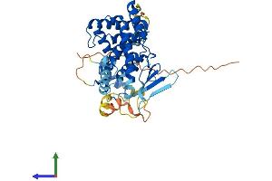 AlphaFold protein structure predicition of Mouse Recombinant Nr1i2 Protein, UniprotID O54915