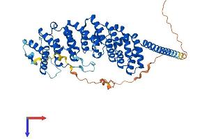 AlphaFold protein structure predicition of Human Recombinant PPP2R5B Protein, UniprotID Q15173