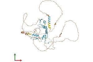 AlphaFold protein structure predicition of Human Recombinant GLIS2 Protein, UniprotID Q9BZE0