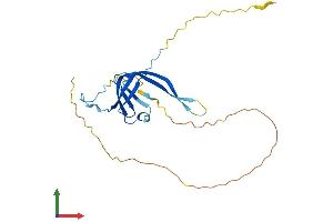 AlphaFold protein structure predicition of Mouse Recombinant Gtf3c6 Protein, UniprotID Q9D8P7