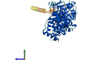 AlphaFold protein structure predicition of Mouse Recombinant Rhot1 Protein, UniprotID Q8BG51
