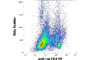 Flow cytometry surface staining pattern of rat splenocyte suspension stained using anti-rat CD4 (OX-35) PE antibody (concentration in sample 5 μg/mL). (CD4 anticorps  (PE))
