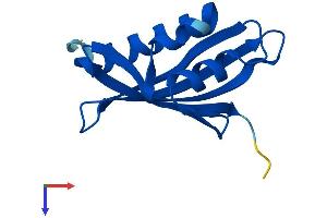 Nuclear Transport Factor 2 (NUTF2) (AA 1-127) protein (His tag)