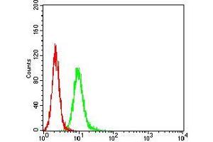 Flow cytometric analysis of Hela cells using APBA2 mouse mAb (green) and negative control (red).