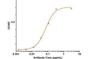 Immobilized Mouse PDGFB, His Tag at 2 μg/mL can bind Anti-PDGFB Reference Antibody (MOR-8457), The EC50 was approximately 0.