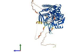 AlphaFold protein structure predicition of Human Recombinant PCIF1 Protein, UniprotID Q9H4Z3