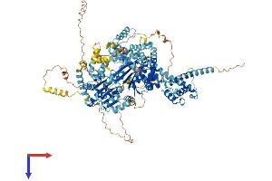 AlphaFold protein structure predicition of Human Recombinant SMARCA1 Protein, UniprotID P28370