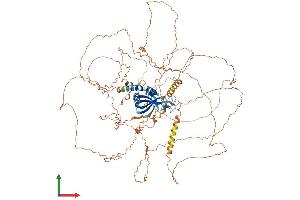 AlphaFold protein structure predicition of Human Recombinant DDIAS Protein, UniprotID Q8IXT1