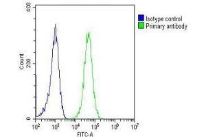 Overlay histogram showing Jurkat cells stained with (ABIN1882239 and ABIN2843357)(green line).