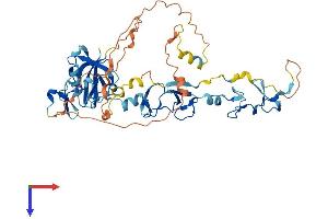 AlphaFold protein structure predicition of Human Recombinant PDLIM7 Protein, UniprotID Q9NR12