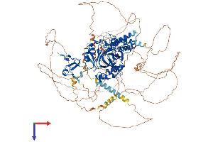 AlphaFold protein structure predicition of Mouse Recombinant Phf2 Protein, UniprotID Q9WTU0