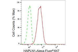 Flow cytometric analysis of HAPLN1 expression in C2C12 cells using HAPLN1 antibody (ABIN7799008), 1:2,000). (Recombinant HAPLN1 anticorps)