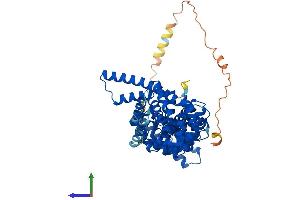 AlphaFold protein structure predicition of Human Recombinant CTNNBL1 Protein, UniprotID Q8WYA6